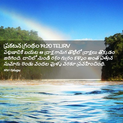 Picture 02 - ప్రకటన గ్రంథం 14:20 TELIRV - పట్టణానికి బయట ఆ - Bible Verse Picture