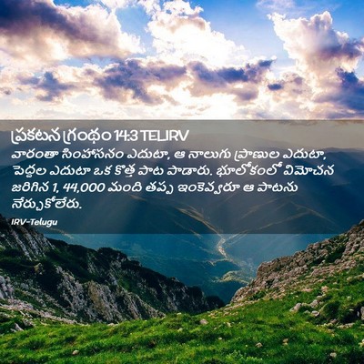 Picture 02 - ప్రకటన గ్రంథం 14:3 TELIRV - వారంతా సింహాసనం - Bible Verse Picture