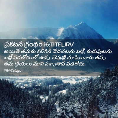 Picture 02 - ప్రకటన గ్రంథం 16:11 TELIRV - అయితే తమకు కలిగిన - Bible Verse Picture