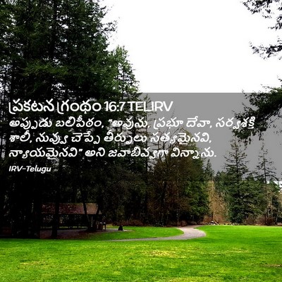 Picture 02 - ప్రకటన గ్రంథం 16:7 TELIRV - అప్పుడు బలిపీఠం, - Bible Verse Picture