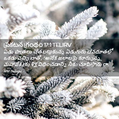 Picture 02 - ప్రకటన గ్రంథం 17:1 TELIRV - ఏడు పాత్రలు - Bible Verse Picture