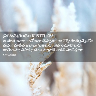 Picture 02 - ప్రకటన గ్రంథం 17:15 TELIRV - ఆ దూత ఇంకా నాతో ఇలా - Bible Verse Picture