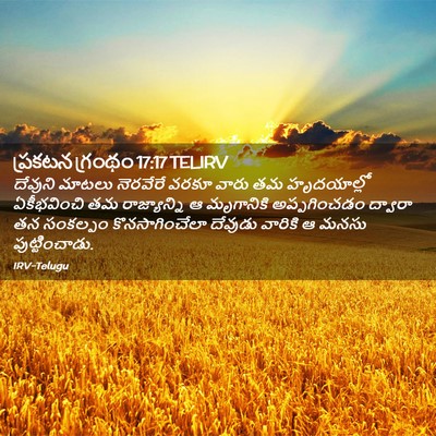 Picture 02 - ప్రకటన గ్రంథం 17:17 TELIRV - దేవుని మాటలు - Bible Verse Picture