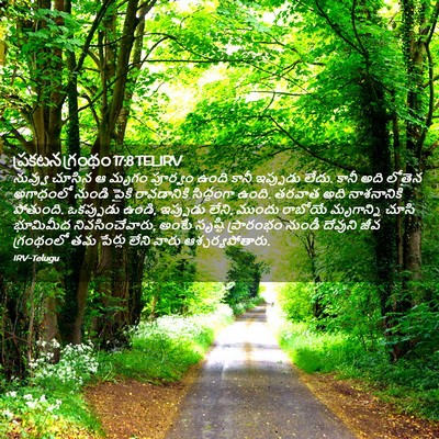 Picture 02 - ప్రకటన గ్రంథం 17:8 TELIRV - నువ్వు చూసిన ఆ - Bible Verse Picture