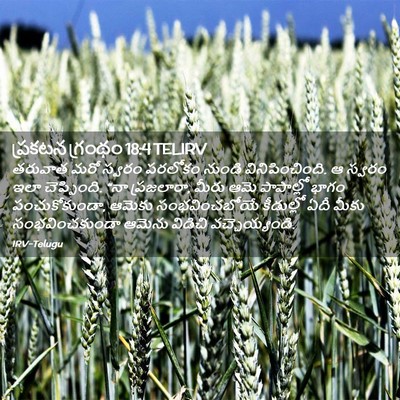 Picture 02 - ప్రకటన గ్రంథం 18:4 TELIRV - తరువాత మరో స్వరం - Bible Verse Picture