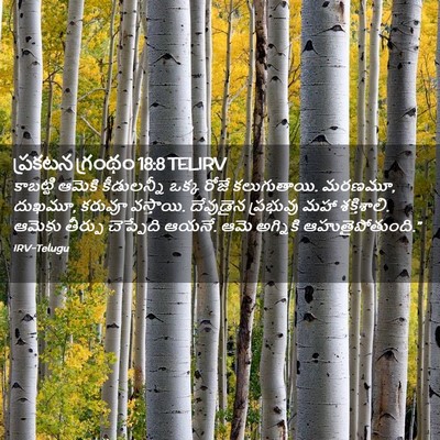 Picture 02 - ప్రకటన గ్రంథం 18:8 TELIRV - కాబట్టి ఆమెకి - Bible Verse Picture