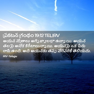 Picture 02 - ప్రకటన గ్రంథం 19:12 TELIRV - ఆయన నేత్రాలు - Bible Verse Picture