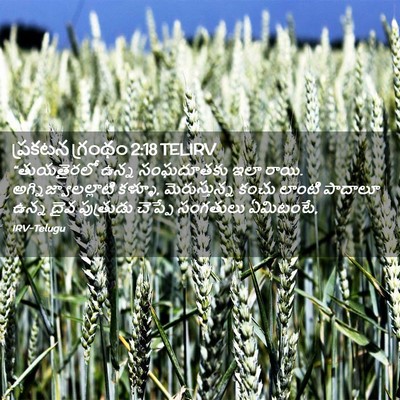 Picture 02 - ప్రకటన గ్రంథం 2:18 TELIRV - “తుయతైరలో ఉన్న - Bible Verse Picture