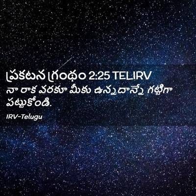 Picture 02 - ప్రకటన గ్రంథం 2:25 TELIRV - నా రాక వరకూ మీకు - Bible Verse Picture