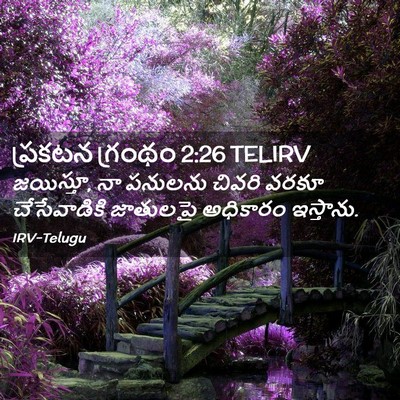 Picture 02 - ప్రకటన గ్రంథం 2:26 TELIRV - జయిస్తూ, నా పనులను - Bible Verse Picture