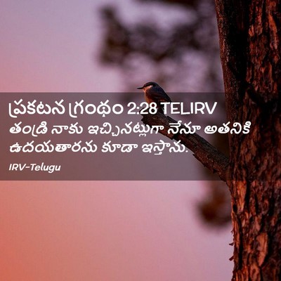Picture 02 - ప్రకటన గ్రంథం 2:28 TELIRV - తండ్రి నాకు - Bible Verse Picture