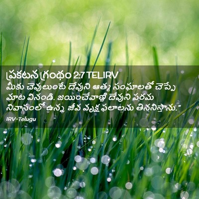 Picture 02 - ప్రకటన గ్రంథం 2:7 TELIRV - మీకు చెవులుంటే - Bible Verse Picture