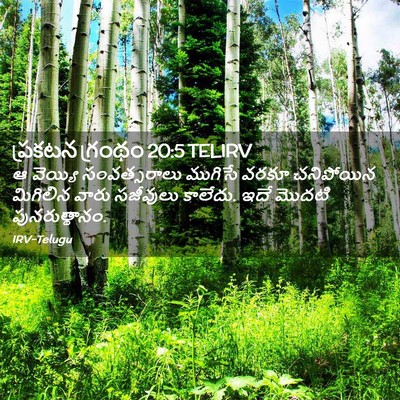 Picture 02 - ప్రకటన గ్రంథం 20:5 TELIRV - ఆ వెయ్యి - Bible Verse Picture