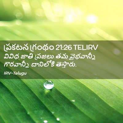 Picture 02 - ప్రకటన గ్రంథం 21:26 TELIRV - వివిధ జాతి ప్రజలు - Bible Verse Picture