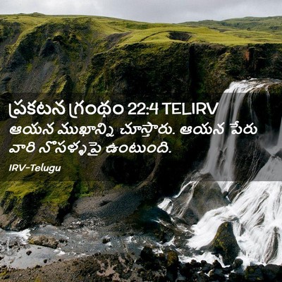 Picture 02 - ప్రకటన గ్రంథం 22:4 TELIRV - ఆయన ముఖాన్ని - Bible Verse Picture