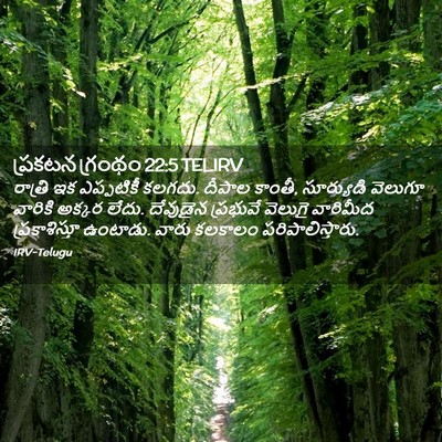 Picture 02 - ప్రకటన గ్రంథం 22:5 TELIRV - రాత్రి ఇక - Bible Verse Picture