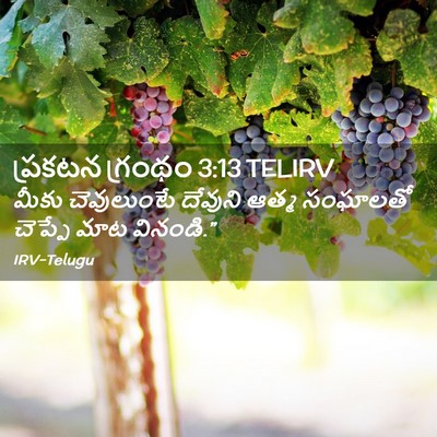 Picture 02 - ప్రకటన గ్రంథం 3:13 TELIRV - మీకు చెవులుంటే - Bible Verse Picture