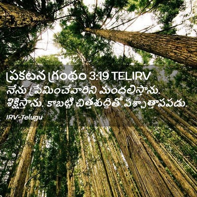 Picture 02 - ప్రకటన గ్రంథం 3:19 TELIRV - నేను - Bible Verse Picture