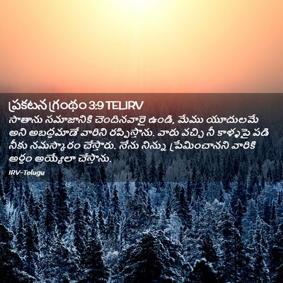 Picture 02 - ప్రకటన గ్రంథం 3:9 TELIRV - సాతాను సమాజానికి - Bible Verse Picture