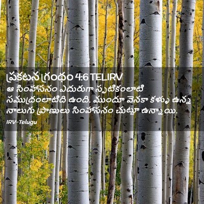 Picture 02 - ప్రకటన గ్రంథం 4:6 TELIRV - ఆ సింహాసనం - Bible Verse Picture