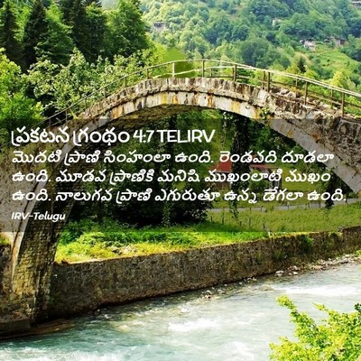 Picture 02 - ప్రకటన గ్రంథం 4:7 TELIRV - మొదటి ప్రాణి - Bible Verse Picture