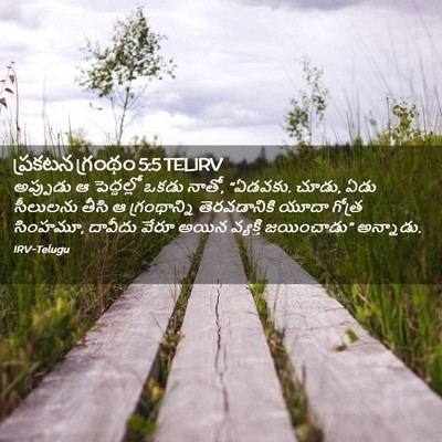 Picture 02 - ప్రకటన గ్రంథం 5:5 TELIRV - అప్పుడు ఆ - Bible Verse Picture