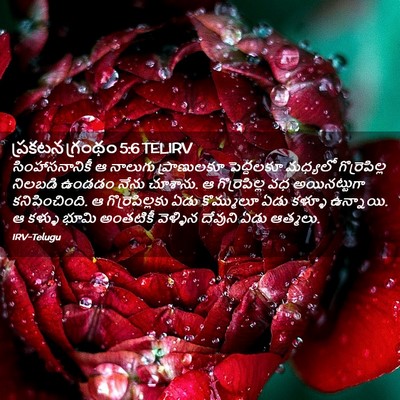 Picture 02 - ప్రకటన గ్రంథం 5:6 TELIRV - సింహాసనానికీ ఆ - Bible Verse Picture