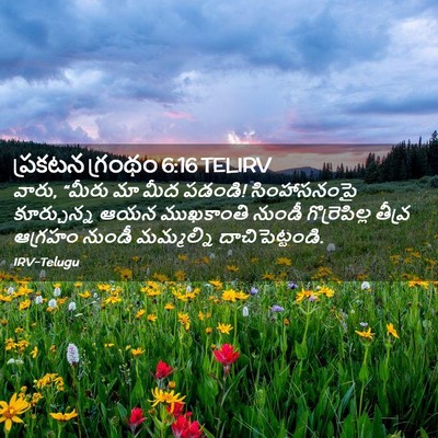 Picture 02 - ప్రకటన గ్రంథం 6:16 TELIRV - వారు, “మీరు మా మీద - Bible Verse Picture