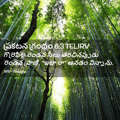 Picture 02 - ప్రకటన గ్రంథం 6:3 TELIRV - గొర్రెపిల్ల రెండవ - Bible Verse Picture