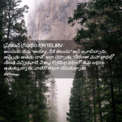 Picture 02 - ప్రకటన గ్రంథం 7:14 TELIRV - అందుకు నేను - Bible Verse Picture