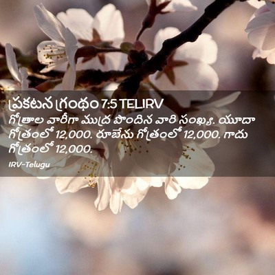 Picture 02 - ప్రకటన గ్రంథం 7:5 TELIRV - గోత్రాల వారీగా - Bible Verse Picture