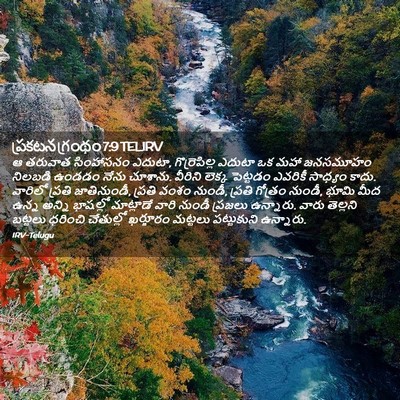 Picture 02 - ప్రకటన గ్రంథం 7:9 TELIRV - ఆ తరువాత సింహాసనం - Bible Verse Picture