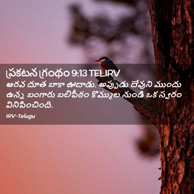 Picture 02 - ప్రకటన గ్రంథం 9:13 TELIRV - ఆరవ దూత బాకా ఊదాడు. - Bible Verse Picture