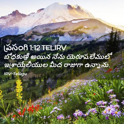 Picture 02 - ప్రసంగి 1:12 TELIRV - బోధకుణ్ణి అయిన - Bible Verse Picture