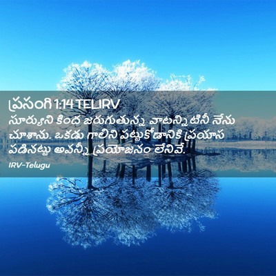 Picture 02 - ప్రసంగి 1:14 TELIRV - సూర్యుని కింద - Bible Verse Picture