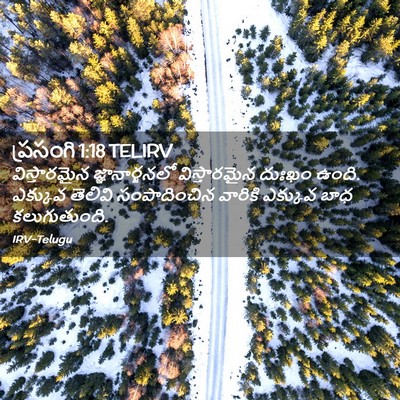 Picture 02 - ప్రసంగి 1:18 TELIRV - విస్తారమైన - Bible Verse Picture