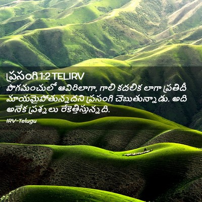 Picture 02 - ప్రసంగి 1:2 TELIRV - పొగమంచులో - Bible Verse Picture