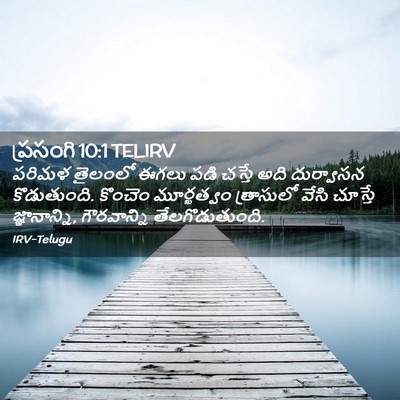 Picture 02 - ప్రసంగి 10:1 TELIRV - పరిమళ తైలంలో ఈగలు - Bible Verse Picture