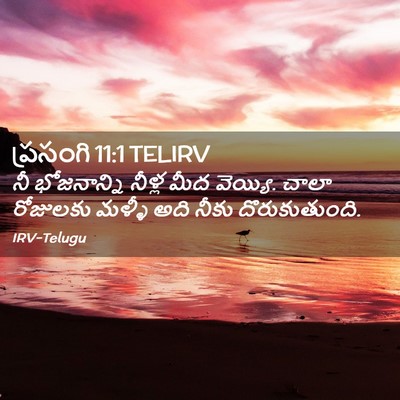 Picture 02 - ప్రసంగి 11:1 TELIRV - నీ భోజనాన్ని - Bible Verse Picture
