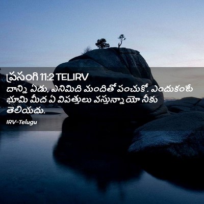 Picture 02 - ప్రసంగి 11:2 TELIRV - దాన్ని ఏడు, - Bible Verse Picture
