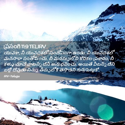 Picture 02 - ప్రసంగి 11:9 TELIRV - యువకా, నీ యువదశలో - Bible Verse Picture