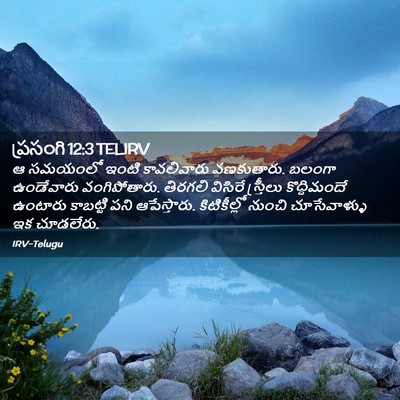 Picture 02 - ప్రసంగి 12:3 TELIRV - ఆ సమయంలో ఇంటి - Bible Verse Picture