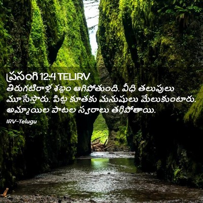 Picture 02 - ప్రసంగి 12:4 TELIRV - తిరుగటిరాళ్ల - Bible Verse Picture
