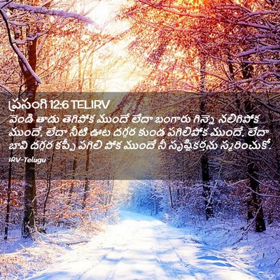 Picture 02 - ప్రసంగి 12:6 TELIRV - వెండి తాడు - Bible Verse Picture
