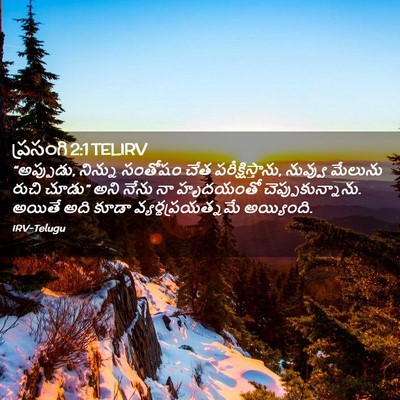 Picture 02 - ప్రసంగి 2:1 TELIRV - “అప్పుడు, నిన్ను - Bible Verse Picture
