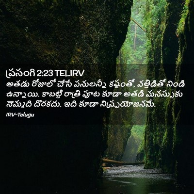 Picture 02 - ప్రసంగి 2:23 TELIRV - అతడు రోజులో చేసే - Bible Verse Picture