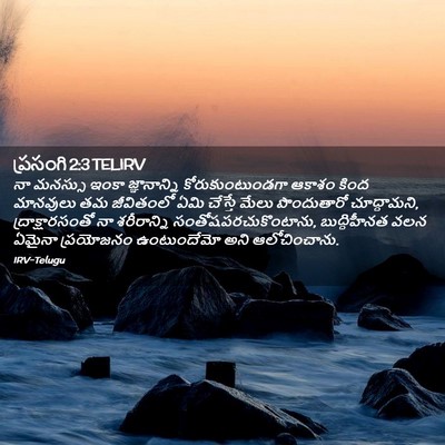 Picture 02 - ప్రసంగి 2:3 TELIRV - నా మనస్సు ఇంకా - Bible Verse Picture