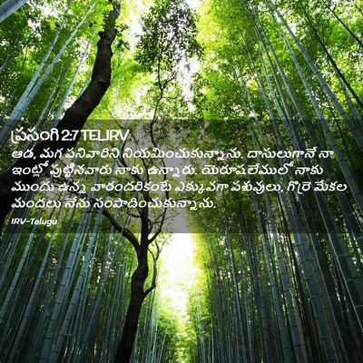 Picture 02 - ప్రసంగి 2:7 TELIRV - ఆడ, మగ పనివారిని - Bible Verse Picture