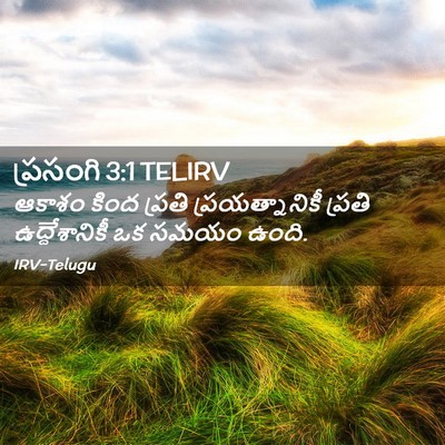Picture 02 - ప్రసంగి 3:1 TELIRV - ఆకాశం కింద ప్రతి - Bible Verse Picture