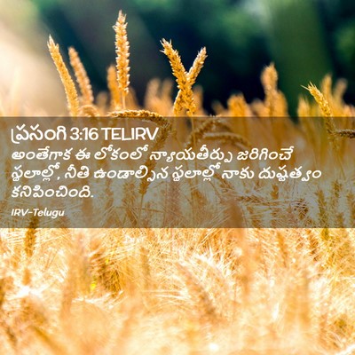 Picture 02 - ప్రసంగి 3:16 TELIRV - అంతేగాక ఈ లోకంలో - Bible Verse Picture
